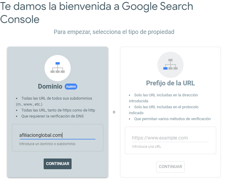 verificar pagina web