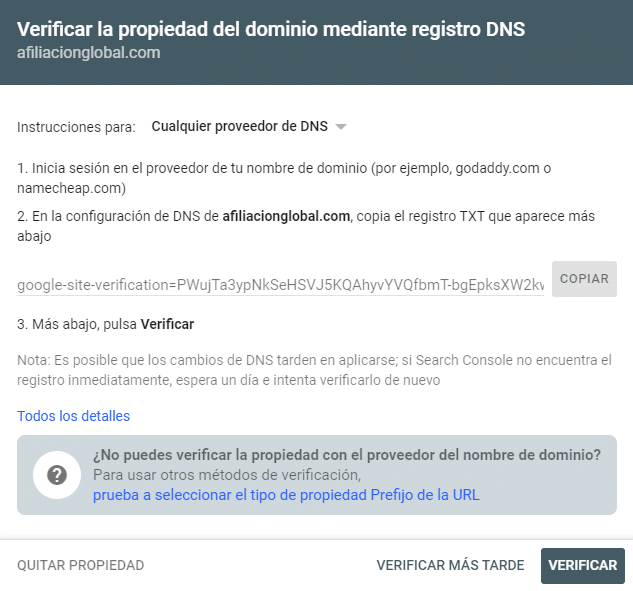registros dns para verificar la propiedad del dominio