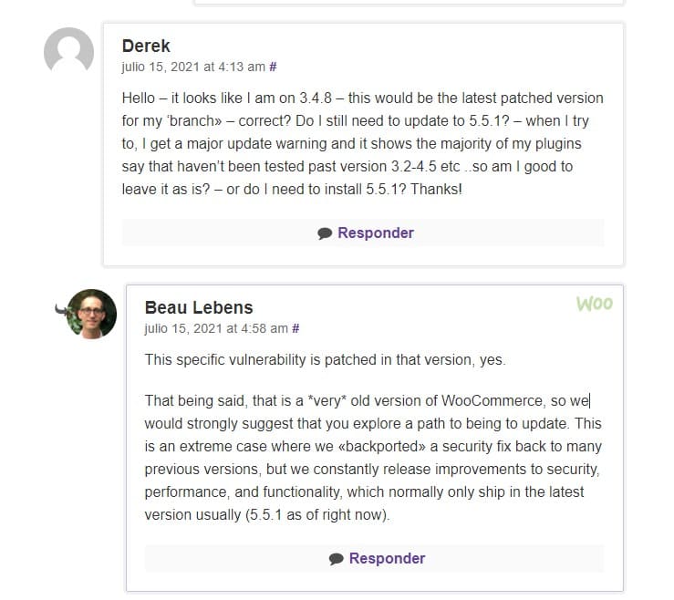 problema vulnerabilidad woocommerce